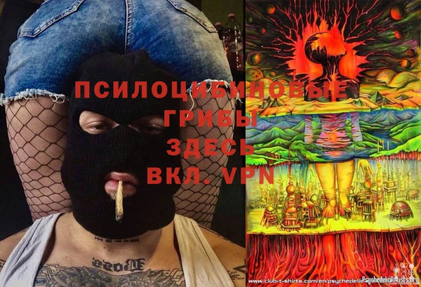 молекула духа Балахна