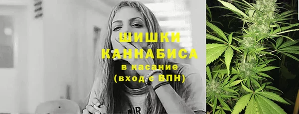 индика Белокуриха
