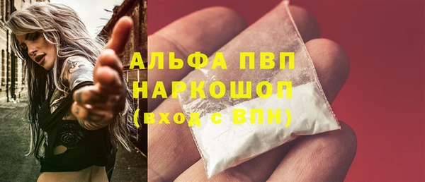 амф Пестово