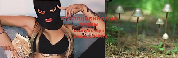 спайс Балабаново