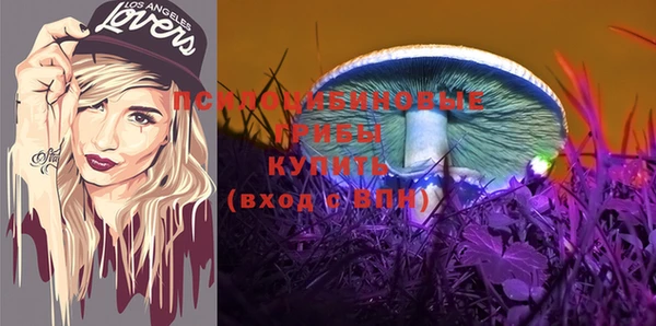 PSILOCYBIN Баксан