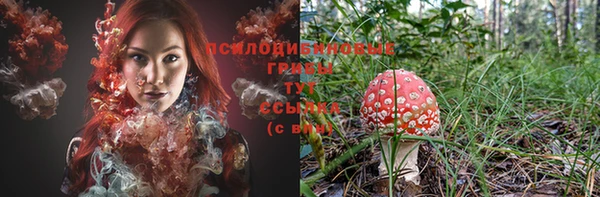 PSILOCYBIN Баксан