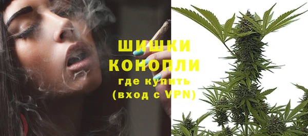 PSILOCYBIN Баксан