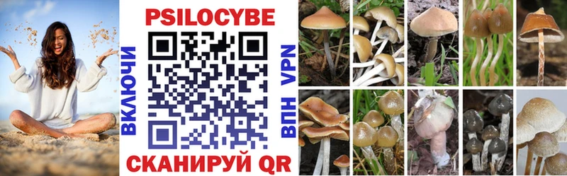 Псилоцибиновые грибы прущие грибы  купить наркотик  Кохма 