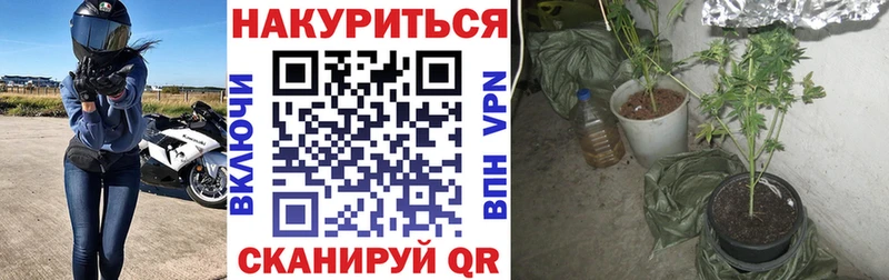Шишки марихуана тримм  blacksprut рабочий сайт  Кохма 